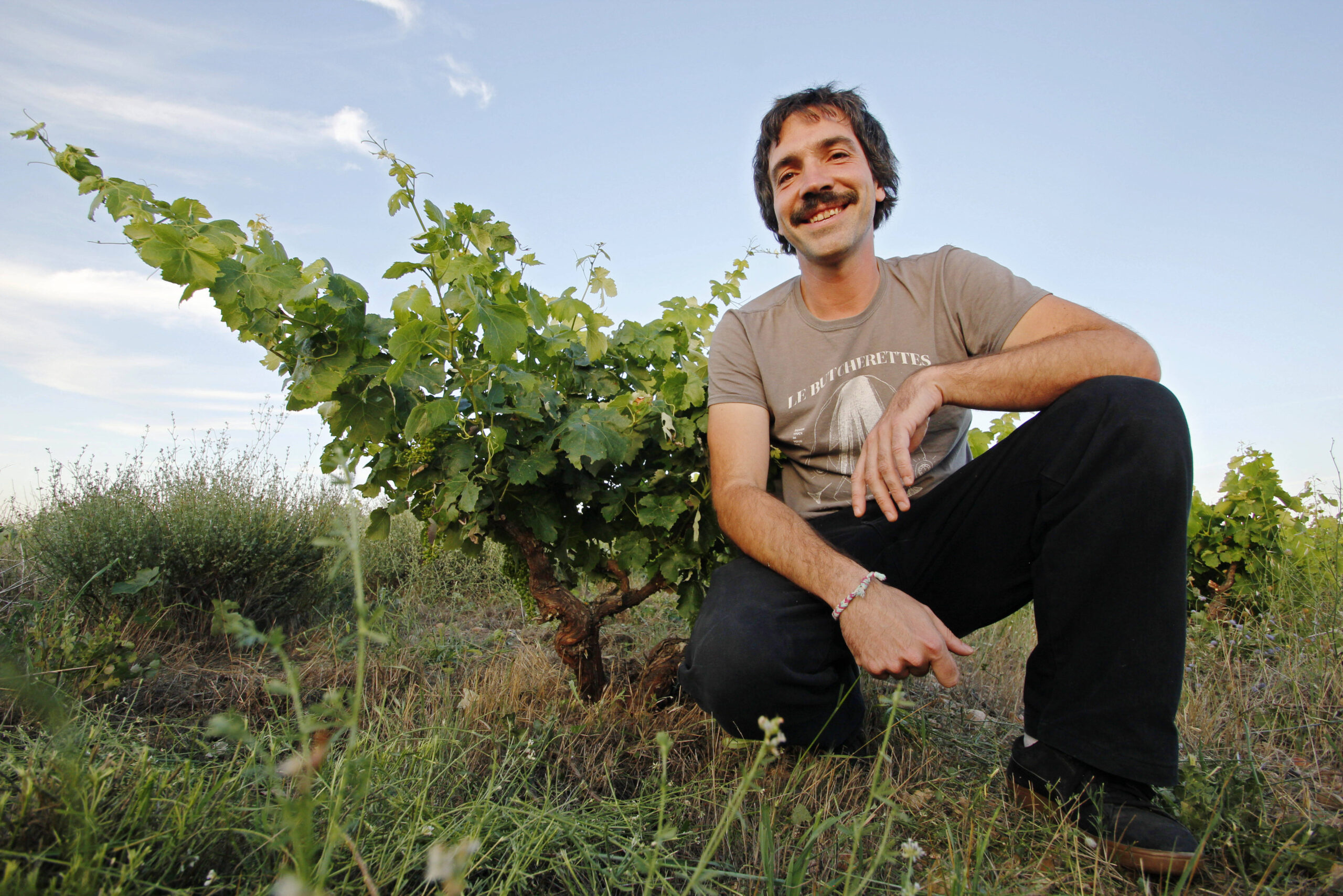 Bodegas Decorus